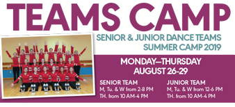 TeamsCamp-2019